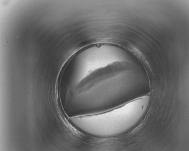 X0000067390892200604071750