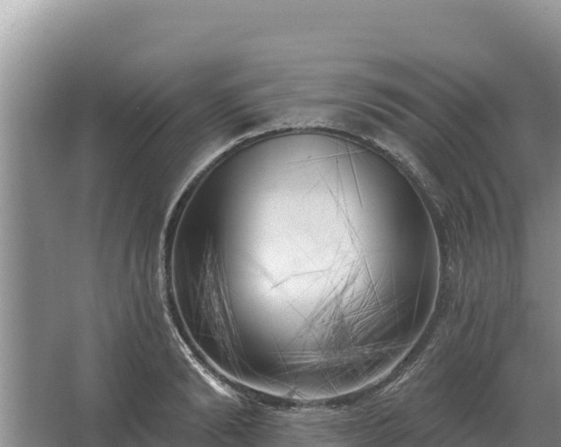 X0000067390894200604071750