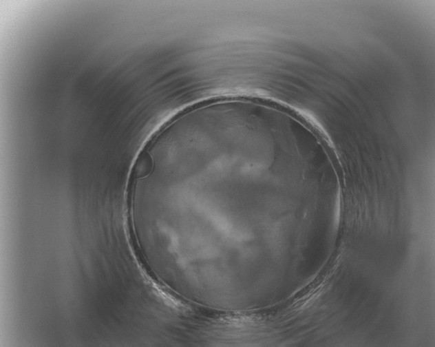 X0000067390895200604071750