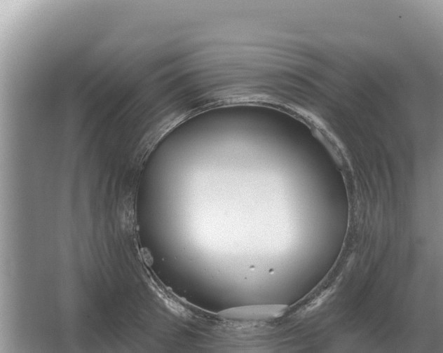 X0000067390897200604071750