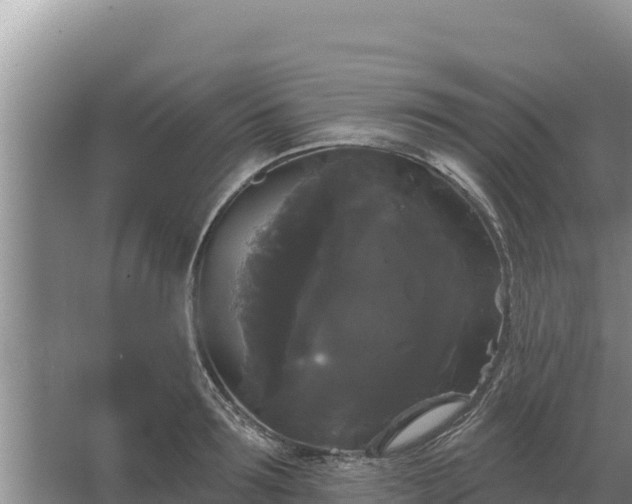 X0000067390899200604071750