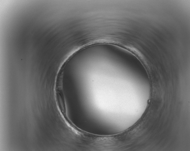 X0000067390902200604071750