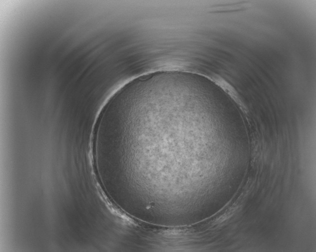 X0000067390904200604071750