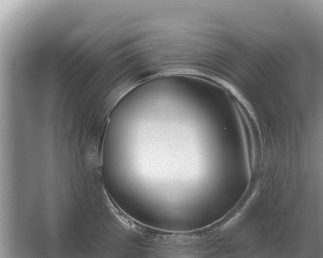 X0000067390905200604071750