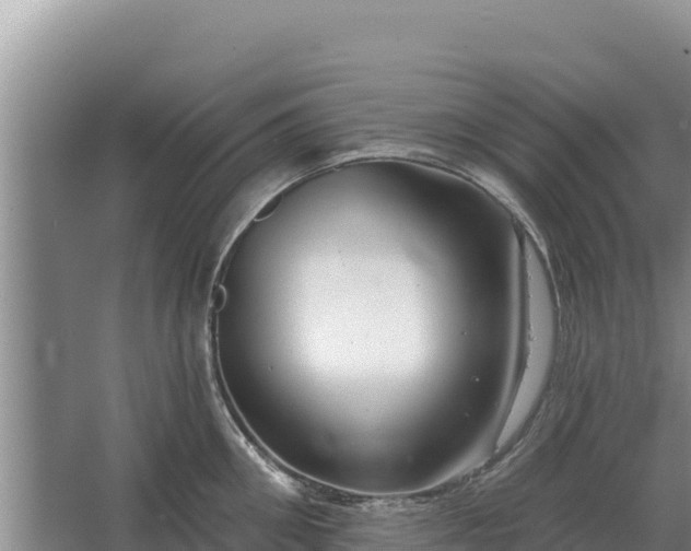 X0000067390906200604071750