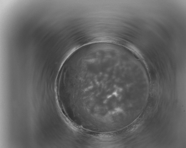 X0000067390907200604071750