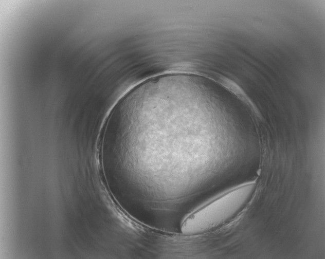 X0000067390908200604071750