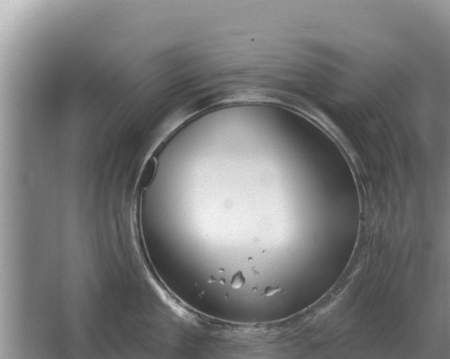 X0000067390909200604071750