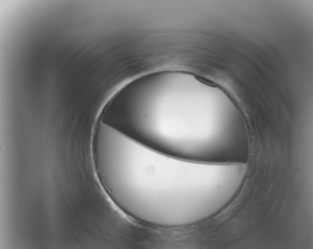 X0000067390910200604071750