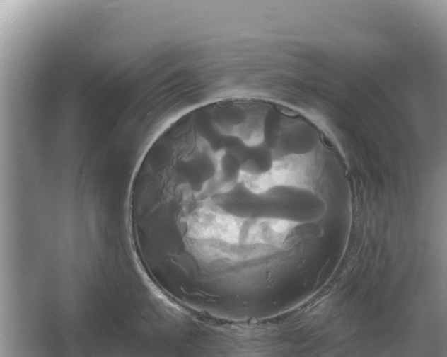 X0000067390911200604071750