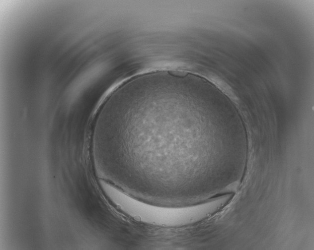 X0000067390912200604071750