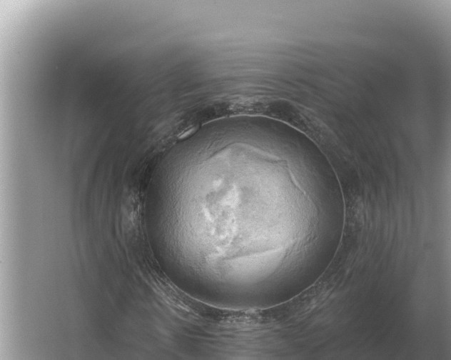 X0000067390914200604071749