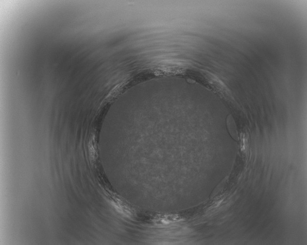 X0000067390915200604071749