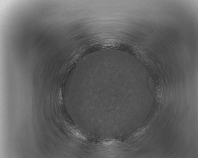 X0000067390916200604071749