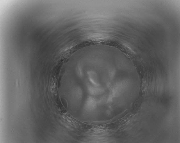 X0000067390917200604071749