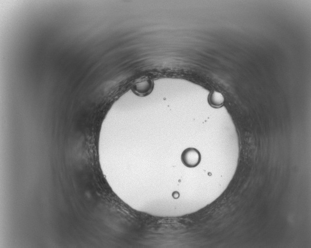 X0000067390918200604071749