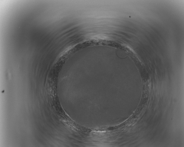 X0000067390919200604071749