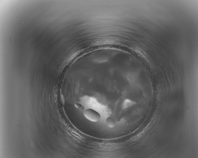 X0000067390921200604071749