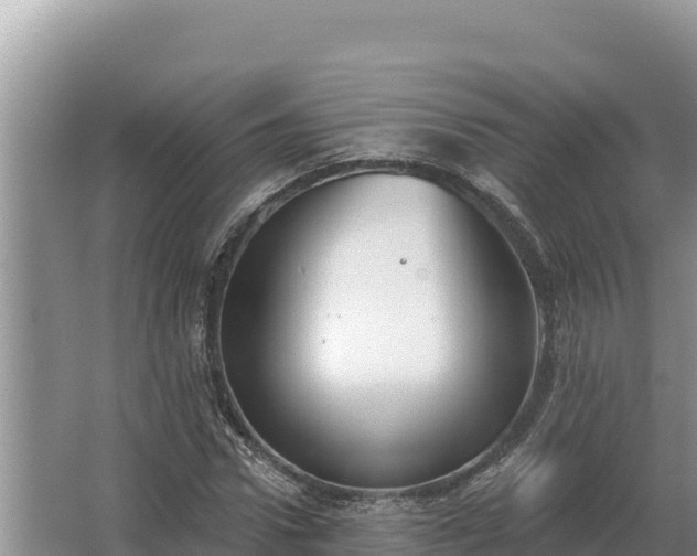 X0000067390922200604071749