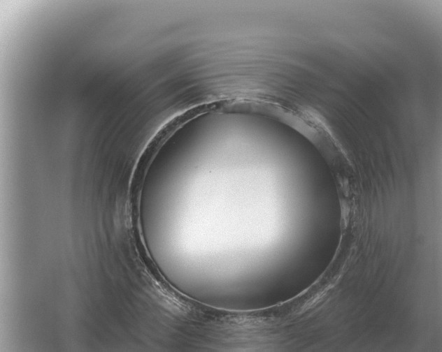 X0000067390924200604071749