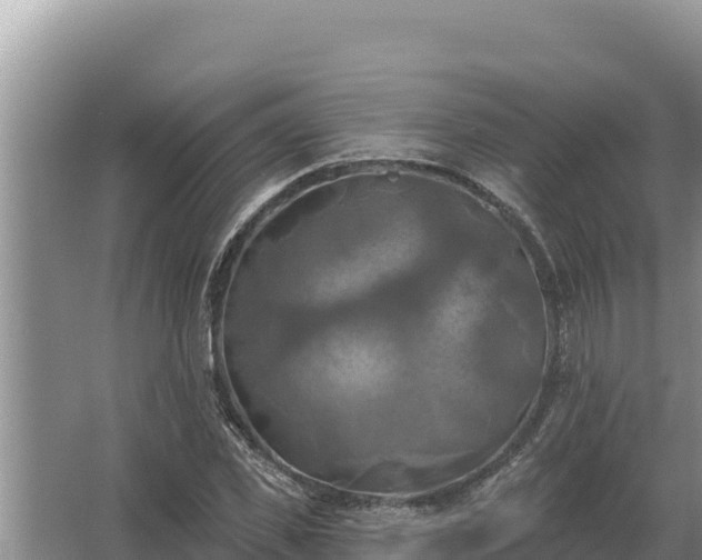 X0000067390925200604071749