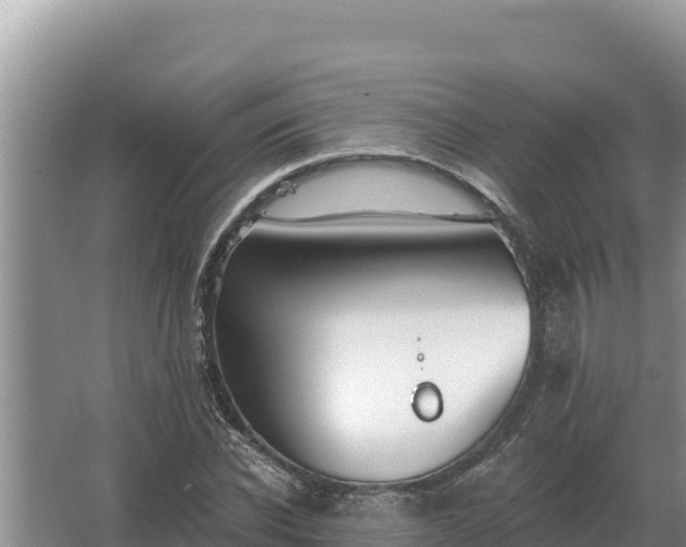 X0000067390926200604071750