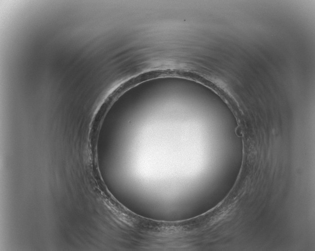 X0000067390927200604071750