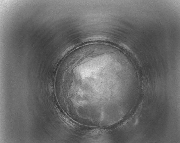 X0000067390929200604071750