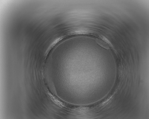 X0000067390930200604071750