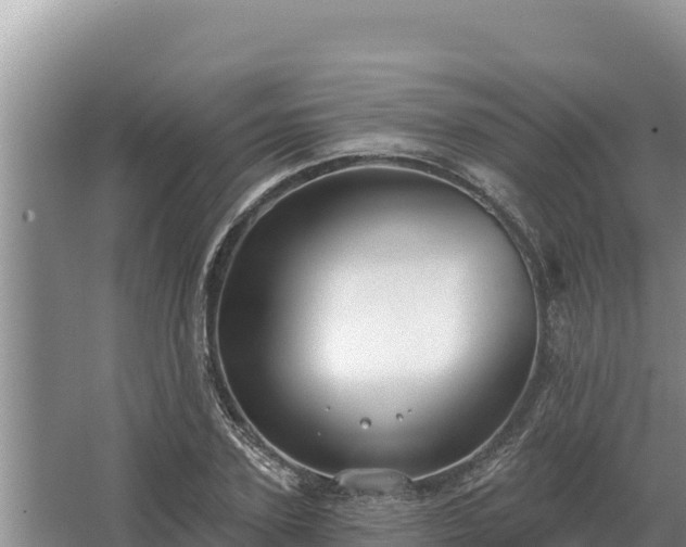 X0000067390931200604071750