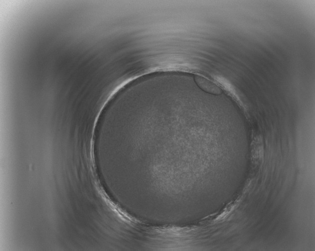 X0000067390932200604071750