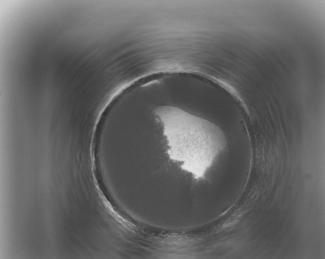 X0000067390935200604071750