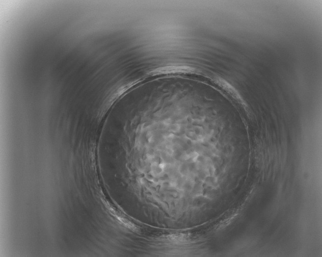 X0000067390937200604071750