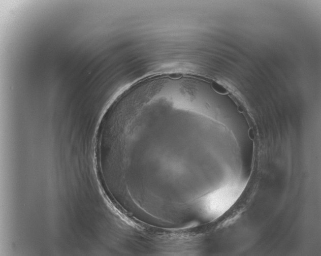 X0000067390941200604071750