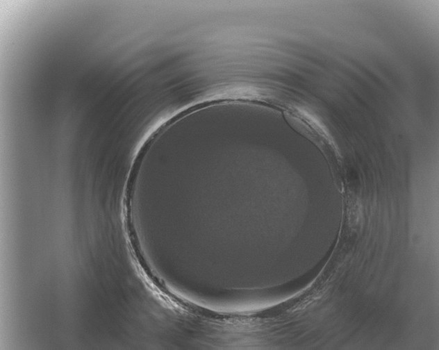 X0000067390944200604071750