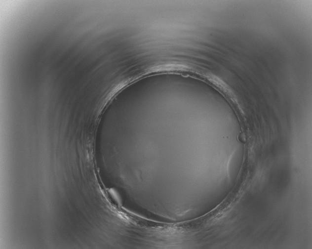 X0000067390945200604071750