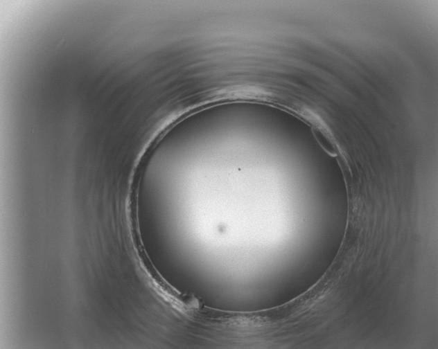 X0000067390947200604071750