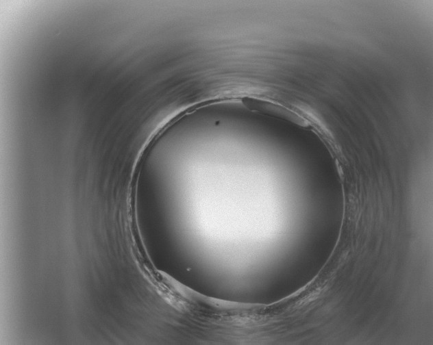 X0000067390948200604071750