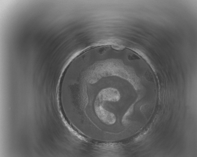 X0000067390949200604071750