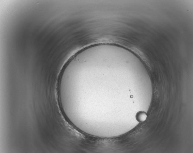 X0000067390950200604071750