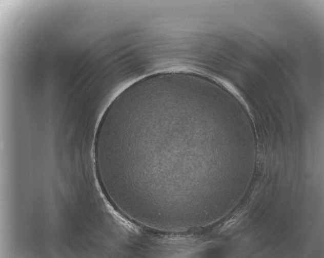 X0000067390951200604071750