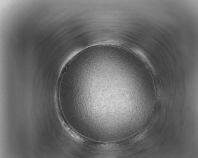 X0000067390952200604071750