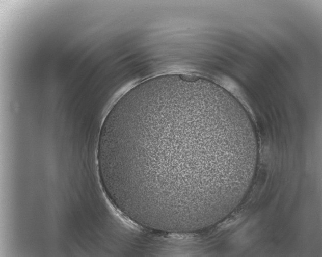 X0000067390954200604071750