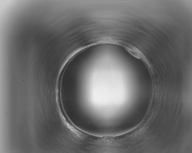 X0000067390955200604071750