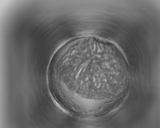 X0000067390957200604071750