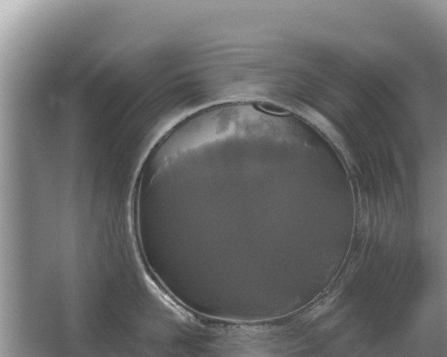 X0000067390958200604071750