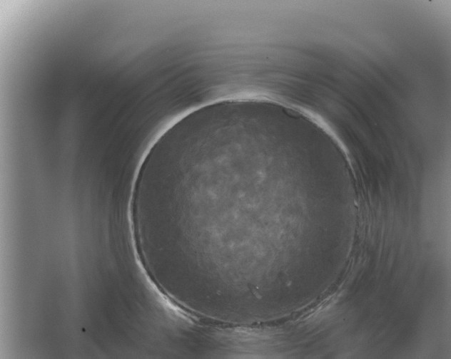 X0000067390959200604071750