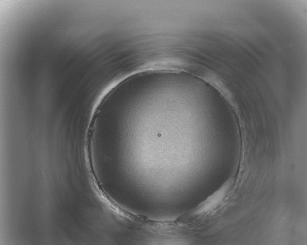 X0000067390960200604071750