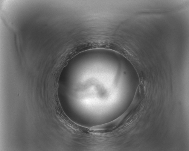 X0000067390961200604071749