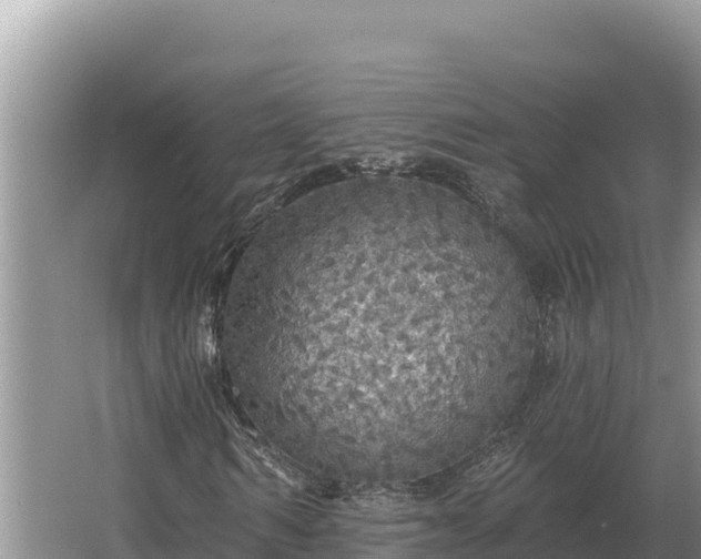 X0000067390962200604071749